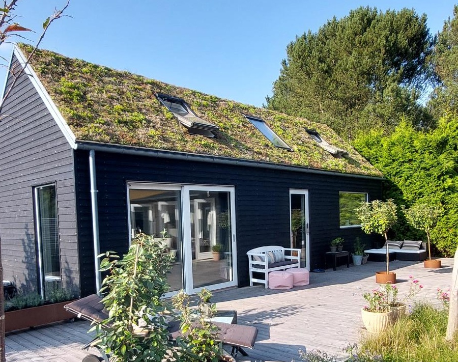 Strandkrogen, anneks med sedum-tag